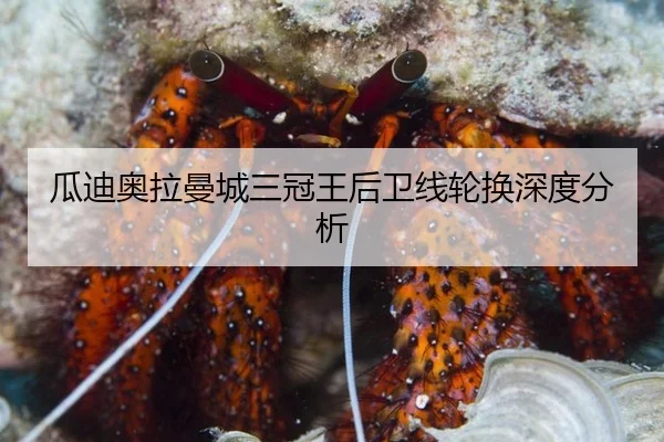 瓜迪奥拉曼城三冠王后卫线轮换深度分析